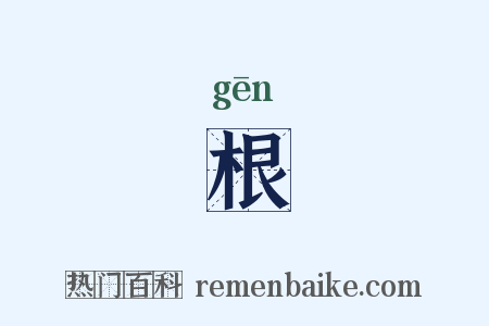 根是什么意思的图片